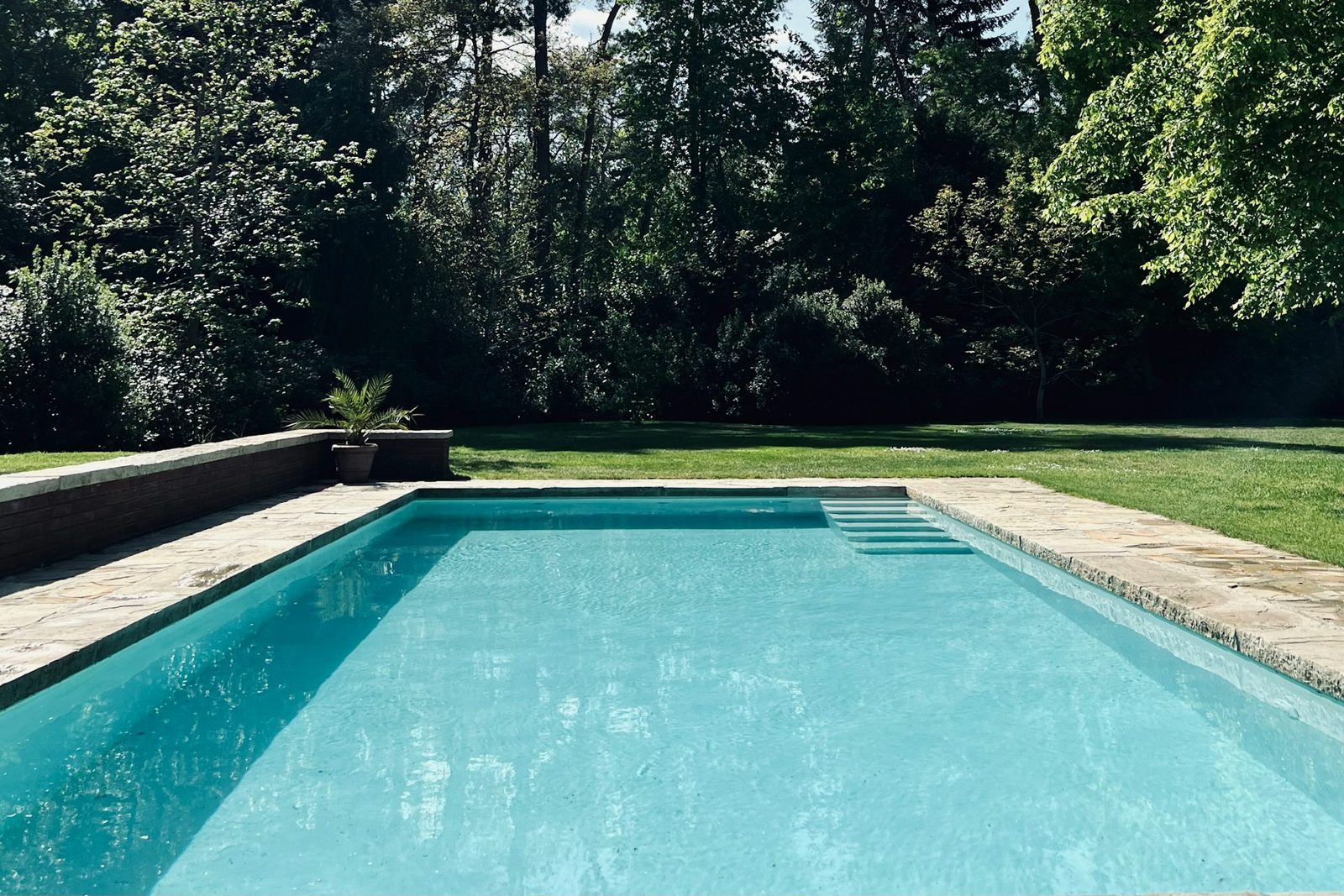 A quiet backyard pool.